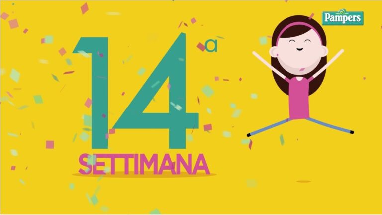 Feto a 14 Settimane: Sviluppo e Caratteristiche