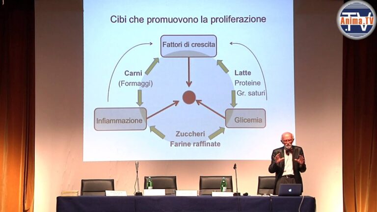 Trigliceridi alti e rischio tumore al pancreas
