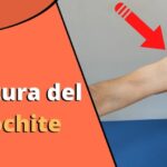Guida all’Idea del Furgone Camperizzato