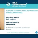 Progynova: scopri il prezzo conveniente per un benessere femminile completo!