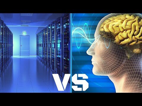La Verità sull’Essere con Poco Cervello