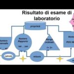 Cambio Medico di Base a Bari: Guida Ottimizzata