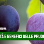 Recensioni sulla Clinica Pederzoli: Esperienze e Opinioni