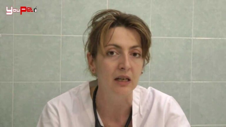 Come Rimuovere una Puntura di Zecca dal Cane