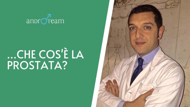 La Prostata: Cosa È e Come Funziona