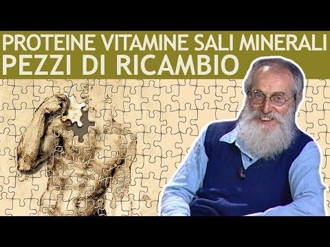 Benefici della folina negli anziani
