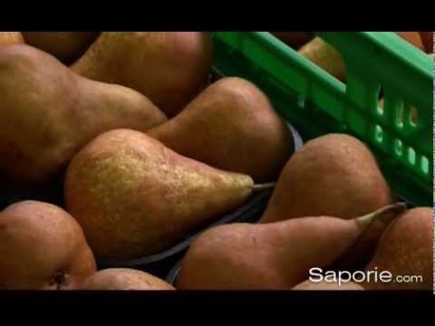 Strategie per Abattere le Calorie: Consigli e Metodi Efficaci