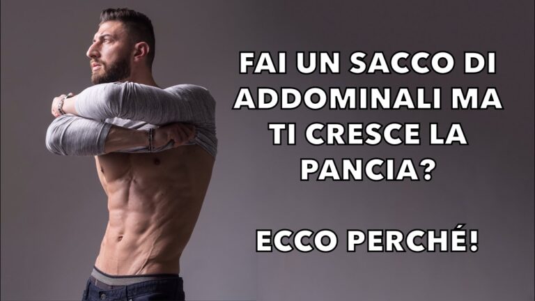 Momcozy Fascia per gravidanza: comodo supporto per gravidanza e schiena, regolabile e traspirante