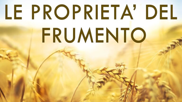 Valori Nutrizionali del Pane di Grano Duro