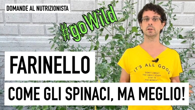 Valori Nutrizionali dello Spinacino