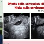 Vienna in 2 giorni: la guida ottimizzata