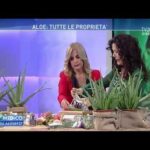 Guida Turistica Calabria: Cartina e Attrazioni