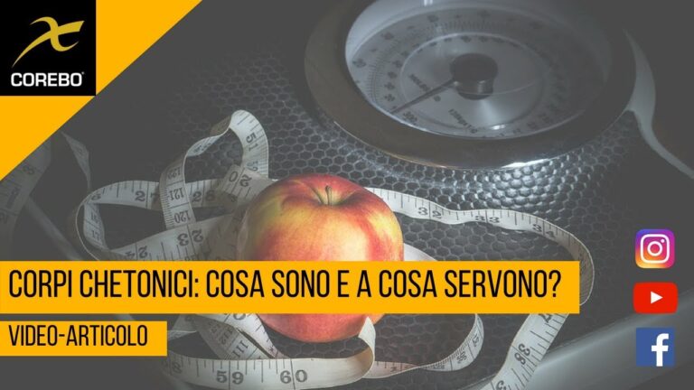 Corpi chetonici: significato e funzioni