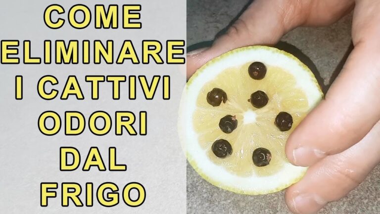 Come eliminare l’odore di pesce dalla patata: i migliori rimedi