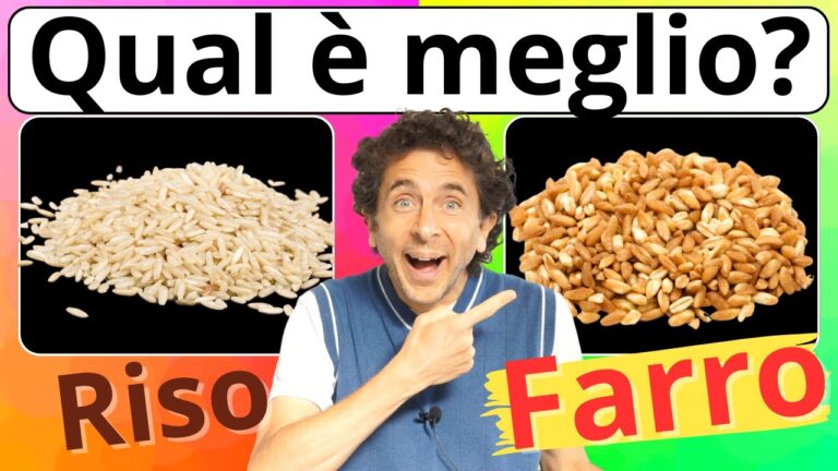 Calorie del Pane di Farro: Guida Pratica alla Nutrizione