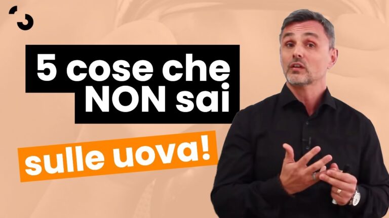 Valori Nutrizionali dell’Uovo Medio