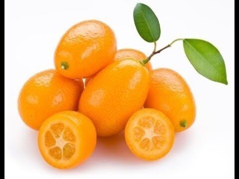 Quante Calorie Contengono i Mandarini?