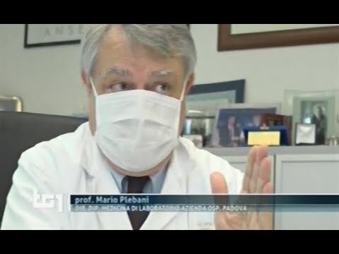 La perversione del test: ottimizzazione e concisione