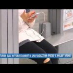 La magia delle prime foglioline: scopri come si sviluppano dal seme!