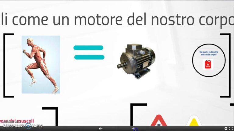 Affaticamento Muscolare: Come si Forma nel Tessuto