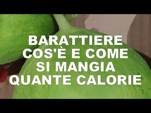 Carosello Calorie: Guida per una Dieta Equilibrata