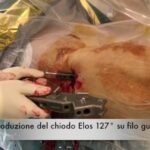 Pomodorini Perini: Il Segreto di un Gusto Unico