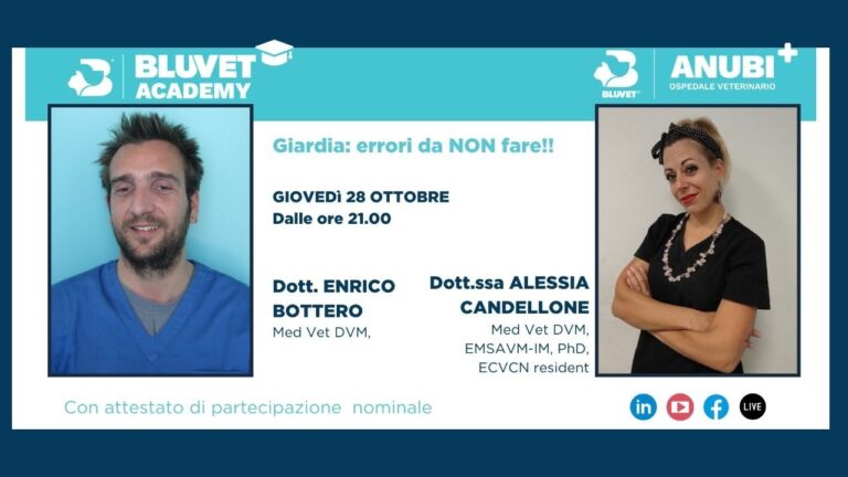 Risolvere la diarrea notturna: Cause e Rimedi Efficaci