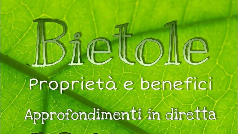 Le Calorie delle Bietole: Valore Nutrizionale e Benefici per la Salute