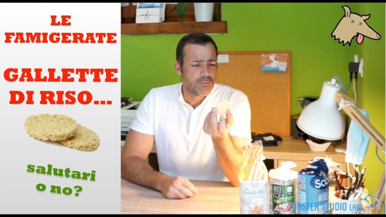 Calorie delle Gallette di Riso: Scopri Quante Sono