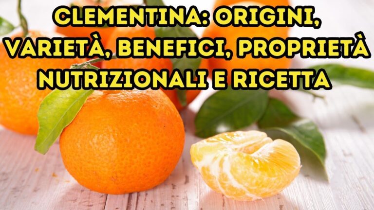Mandarancio: Calorie e Benefici per la Salute