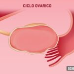 10 trucchi per farlo impazzire mentalmente: scopri come conquistare la sua mente!