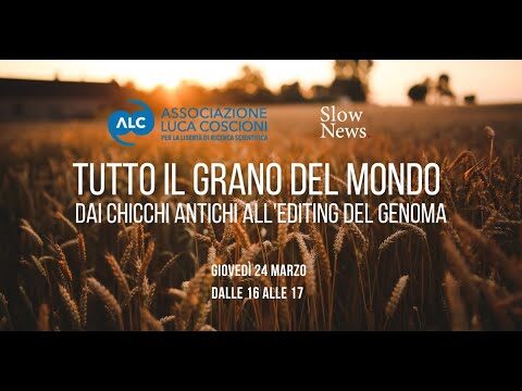 Prezzo Orzo Oggi: Analisi del Mercato e Tendenze attuali
