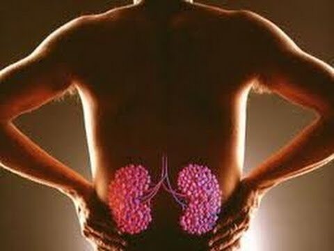 Trattamento ottimizzato del blocco renale nell’anziano