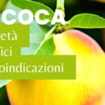 Raffreddore e Febbre a 38: Cause, Sintomi e Trattamento