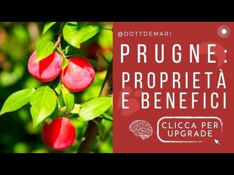 Valori Nutrizionali delle Prugne Secche