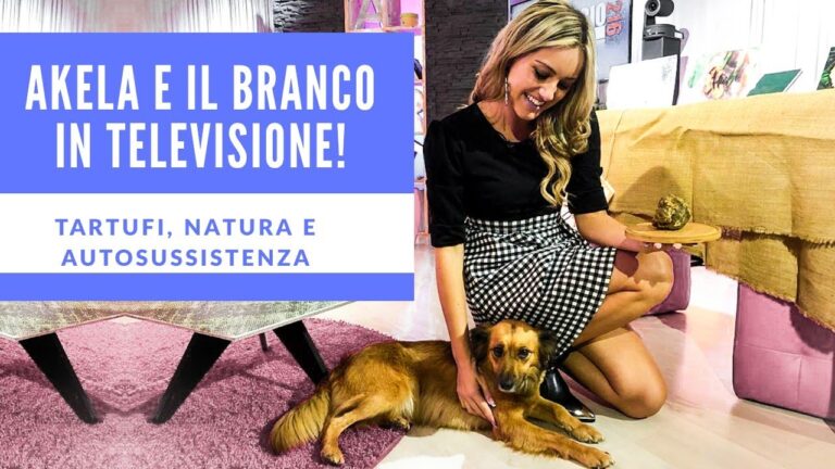 Valori Nutrizionali delle Pannocchie: Un’Analisi Completa