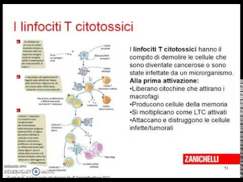 Tipi di Reazioni Allergiche: Una Guida Essenziale