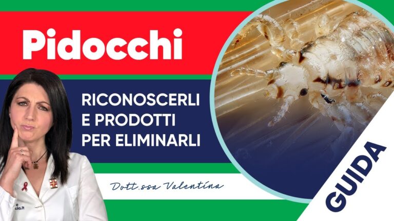 Pidocchi vivi: Cosa fare dopo il trattamento