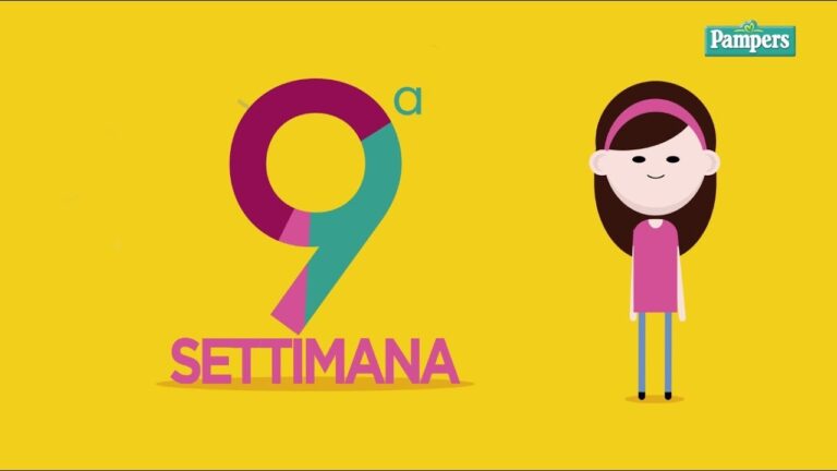 Lo sviluppo dell’embrione a 9 settimane