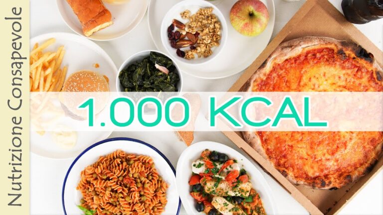 Quante Kilocalorie Contiene un Piatto di Pasta?