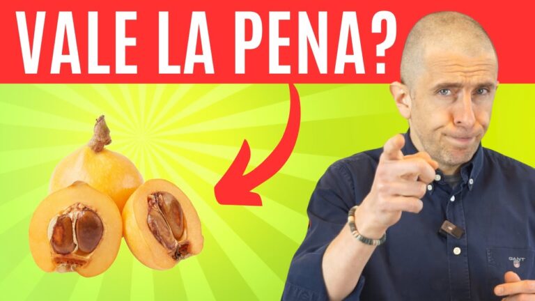 Calorie delle nespole: tutto quello che devi sapere