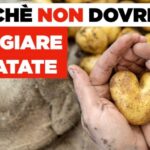 Calorie delle Patate Lesse: Scopri il Loro Contenuto Energetico