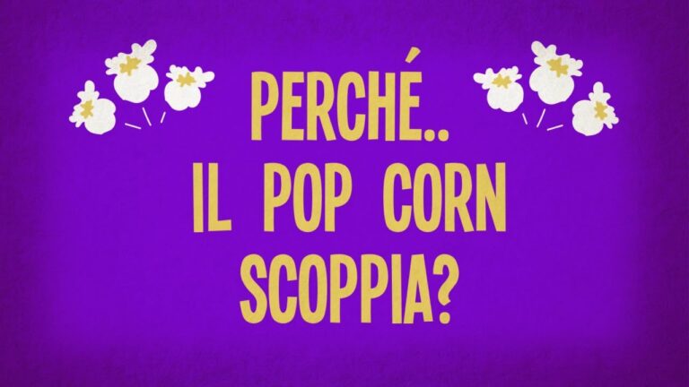 Quante Calorie Contiene il Polpo?