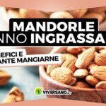 Metformina 500: Prezzo ottimizzato e conciso – Guida all’acquisto