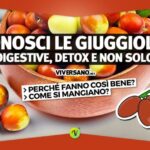 Polipo Anale Esterno: Cause, Sintomi e Trattamento