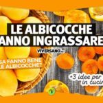 Birra di Zenzero Eurospin: Un Gusto Unico e Accessibile