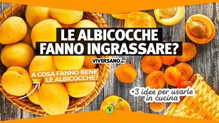 Calorie delle Albicocche: Valore Nutrizionale per 100 Grammi
