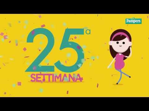 Sviluppo e Salute del Feto a 25 Settimane