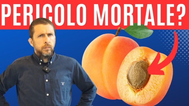 Albicocche: Indice Glicemico Ottimizzato
