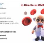 Problemi al Fegato: Analisi del Sangue e Diagnosi Efficace